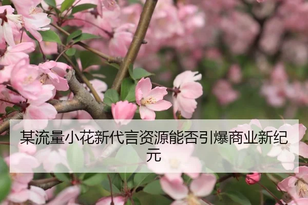 某流量小花新代言资源能否引爆商业新纪元
